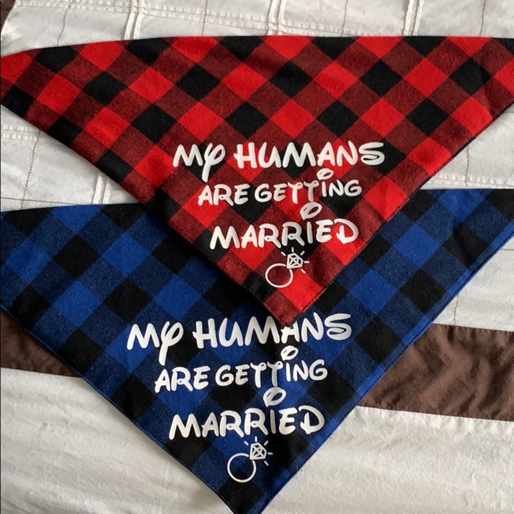 Dog Bandanas